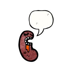 cartoon kidney N12