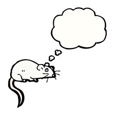 cartoon white mouse with thought bubble N19