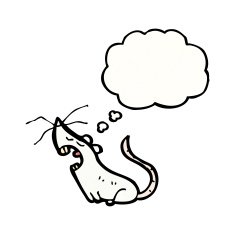 cartoon white mouse with thought bubble N20