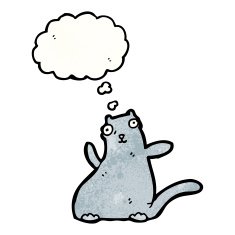 funny cat with thought bubble N8