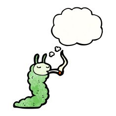 caterpillar smoking cigarette N2