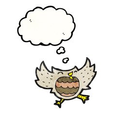 Cartoon Little Owl N24