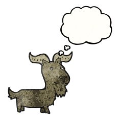 Cartoon Goat N33