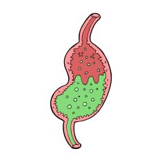 cartoon bubbling stomach N12