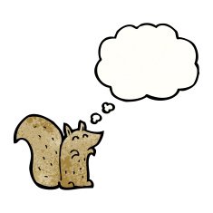 cute little squirrel N2