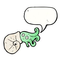 cartoon nautilus squid N16