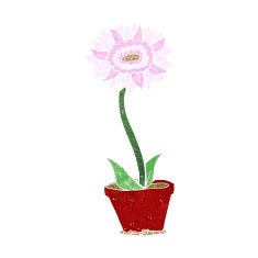 cartoon flower in pot N14