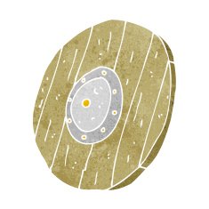 cartoon wooden shield N12
