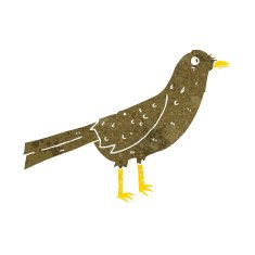 Cartoon Bird N479