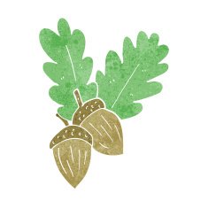 cartoon acorns N6