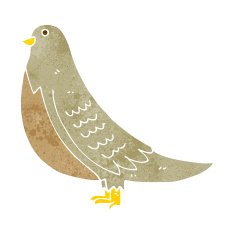cartoon common bird N3