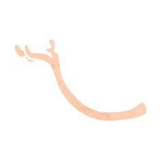 Cartoon Arm Holding Up N8