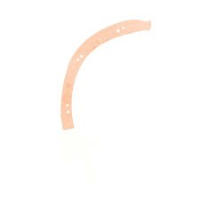 cartoon pointing arm N29