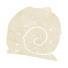 cartoon snail shell N11