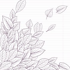 ink drawing leaves at lined paper