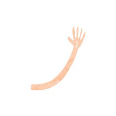cartoon arm N173