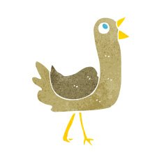 Cartoon Bird N491