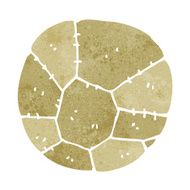 Cartoon Football N33