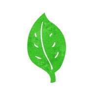 Cartoon Leaf N109