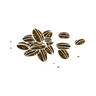 Cartoon Coffee Beans N30