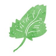 cartoon leaf symbol N60