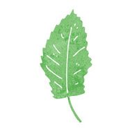 cartoon leaf symbol N61