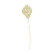 cartoon dried poppy N35