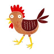 funny cartoon chicken N10