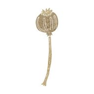 cartoon dried poppy N36