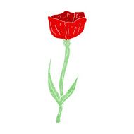 cartoon poppy N7