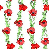 seamless vector pattern with poppy flowers