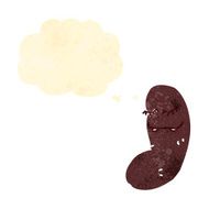 retro cartoon kidney with thought bubble