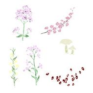 retro flowers illustration