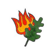 retro cartoon burning leaf symbol N3