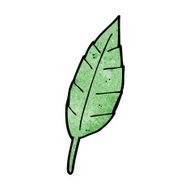 Cartoon Leaf N110
