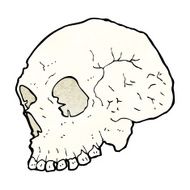 skull illustration N9