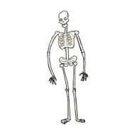 cartoon spooky skeleton N9