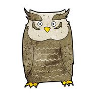 Cartoon Owl N196