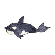 Cartoon Killer Whale N16