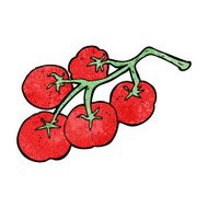 tomatoes on vine illustration N4