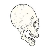 skull illustration N10