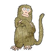 Cartoon Monkey N126