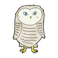 Cartoon Owl N197