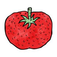 Cartoon Tomato N183