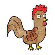Cartoon Rooster N27