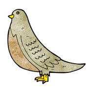 cartoon common bird N4