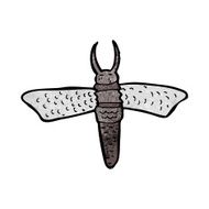cartoon bug N87
