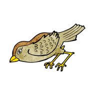 cartoon garden bird N51