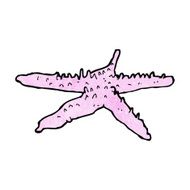 Cartoon Starfish N75