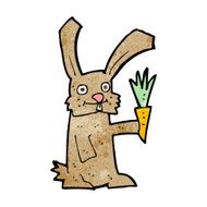 Cartoon Rabbit With Carrot N15